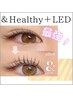 ［&Healthyアンドヘルシー＋LED］フラットラッシュ120本（マツエク＋パーマ）