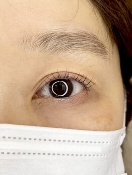 ダーム ド ローズ(Dame de rose)/【まつ毛パーマ】