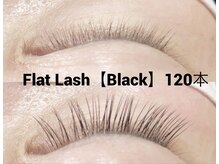 ハーゼ(Hase)/Flat Lash【Black】120本