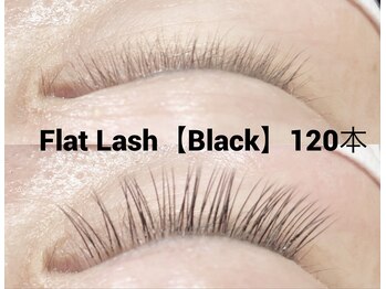 ハーゼ(Hase)/Flat Lash【Black】120本
