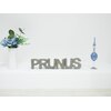 プルヌス(PRUNUS)のお店ロゴ