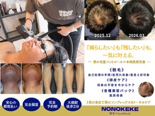 ノノケケ(NONOKEKE)