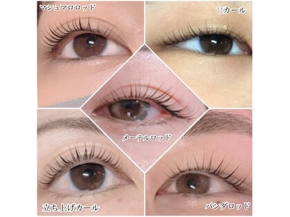 アイラッシュマルヴァ(Eye Lash Malva)の写真