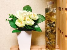 ハミングバード/