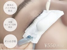 Q2. オプションのアイシャンプーは追加したほうがいいですか？