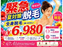 アルストロメリア(Alstroemeria)