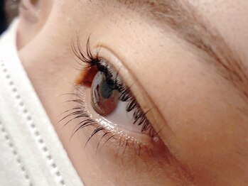 ラッシュ(LASH)/まつげパーマ/上下まつげパーマ