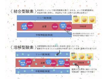 アーテム(ATEM)/酸素の秘密★[2]