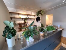 虹(Niji)/◆店内の様子