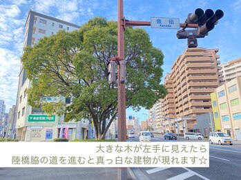 オチョビー(ocho.bee)/