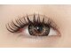 エクララッシュ 栄(Eclat Lash)の写真/【LEDマツエク取扱】人気のフラットラッシュやバインドロックもLEDでさらに持続力UP！可愛いをKEEP★