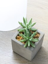 まつげエクステ専門店 アイラ 盛岡店(EYELA)&nbsp;西條 