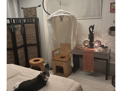 コタ(KOTA)の写真