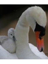 もみほぐしラクア 和光店(もみほぐしRakua)&nbsp;シラトリ (女性)