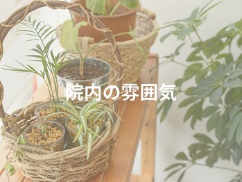 大川カイロプラクティックセンター なかのぶ整体院/院内の雰囲気