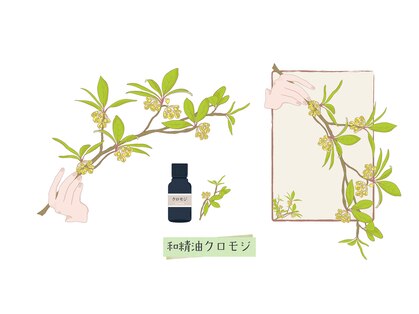 アウン(aUN)の写真