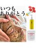 【5月限定/母の日】REVI陶肌トリートメント(幹細胞セラム付)¥8,250