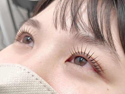 アオ(Ao)の写真