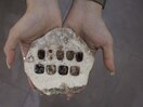 〈ネイル〉定額デザイン