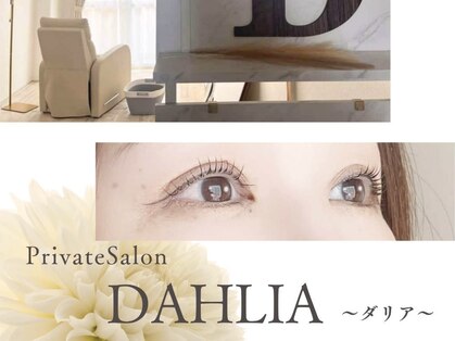 ダリア(DAHLIA)の写真