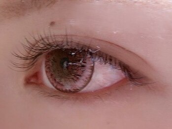 カラン 焼津店(CALIN)/フラットラッシュ120本☆*°