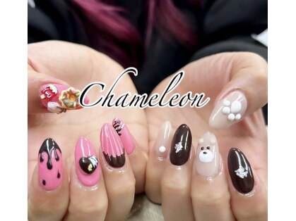 カメレオン(chameleon)の写真