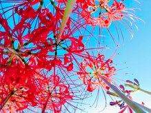 リラクゼーション整体 りめいく