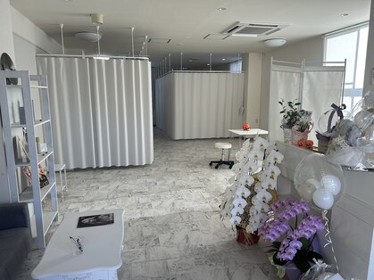 ビオラ(Viola)の写真