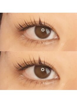 プラン アピ(plan api)/パリジェンヌ