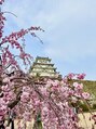 にしやま整骨院 鍼灸院 整体院&nbsp;姫路城へ花見に行ってきました！外国の方ばかり！