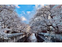 癒し処 ほのか/季節メニューも★