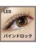 【密度＆ボリュームが叶う】LEDバインドロック160束 ¥13500