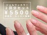 【期間限定★研修生モニター】 ハンド ジェルワンカラー★ 2回分セット