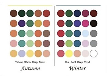 ウェルフル(Well Full)/パーソナルカラー診断　メイク眉