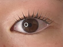 ラシク ベル(Lashiku Belle)/パリジェンヌラッシュリフト