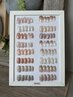 【ハンドネイル定額】　¥6050（デザインサンプルより選択）