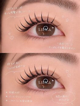 リリア(LILY.A)の写真/【LEDエクステ導入】圧倒的な持続力×濃密ボリューム！ビューラーいらずで理想の華やかな目元が続く♪
