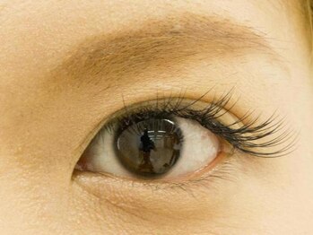 ミニョンアイラッシュデザインサロン くずは店/二重さん（エレガントタイプ） 