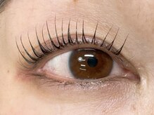 エニーラッシュ(ANYLASH)/マスカラパーマ