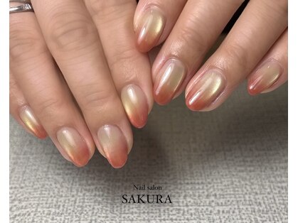 サクラ(SAKURA)の写真