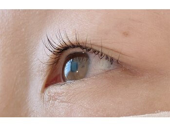 サプリ 静岡店(SPL)/Cカール☆片目40本