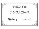 定額シンプルコース 36種類