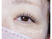 キャットウィンク(catwink)/