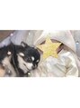 リラスパ 荻窪(relaspa) 16歳のチワワがいます！子供とも仲良しです