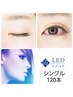 【平日300円割引】　【LED】シングル 120本 　オフ無料