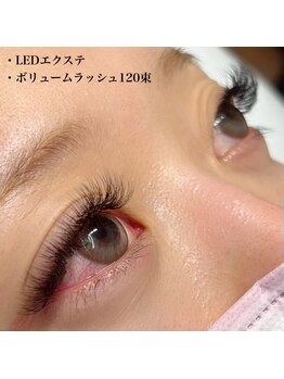 ヴィオラ(Viola)/ボリュームラッシュ120束