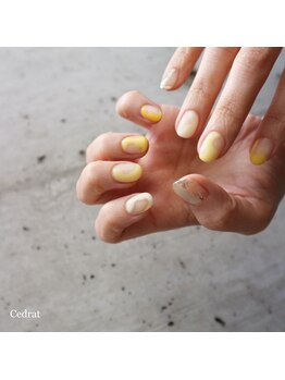 セドラ(Cedrat)/(spring)   yellow / silver