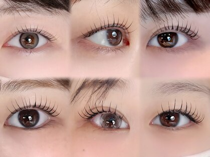 サンノット(SUN KNOT)の写真