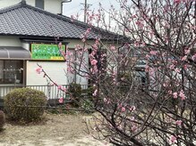 癒やしのごえんの雰囲気（◎　和の雰囲気で心安らぐ施術部屋完備　◎）