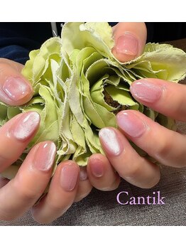 チャンティー(Cantik)/【HANDネイル】マグネットネイル